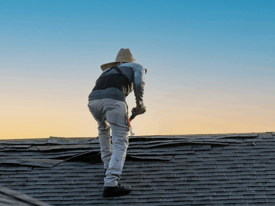 Roofing contractor scaling a roof as they lift up shingles.